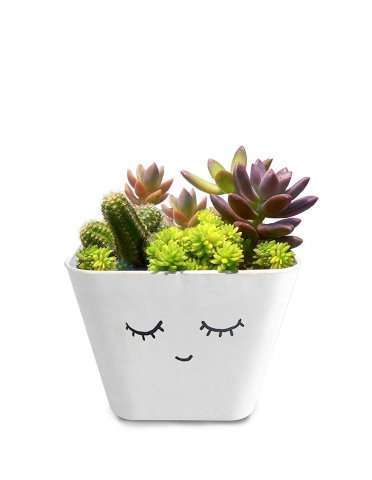 Eco friendly wedding return gifts